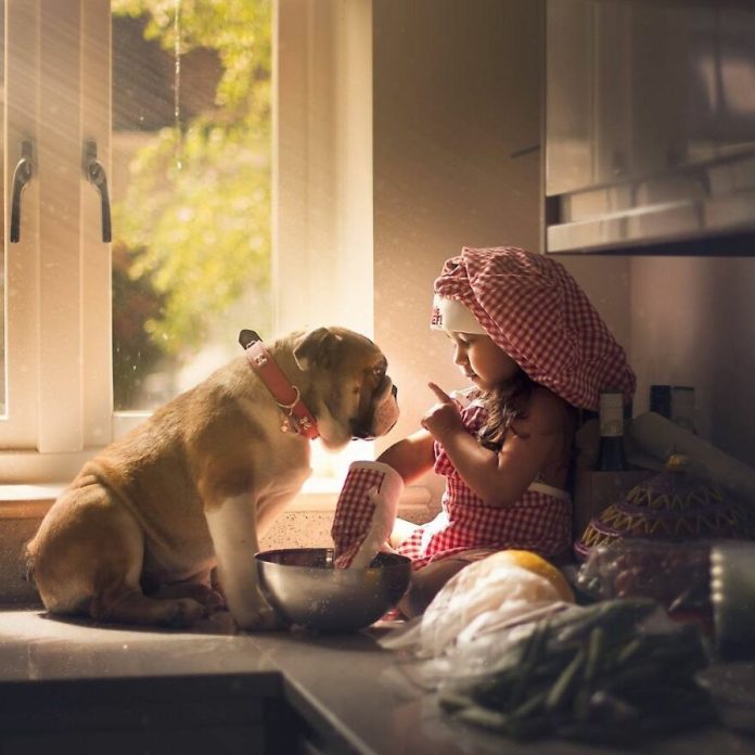 The Wonder Of Anthropology Among Pets And Small Children That Softens Your Heart