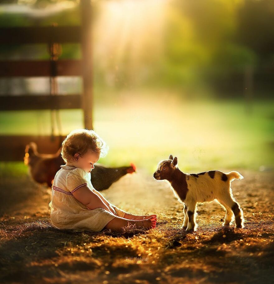 The Wonder Of Anthropology Among Pets And Small Children That Softens Your Heart
