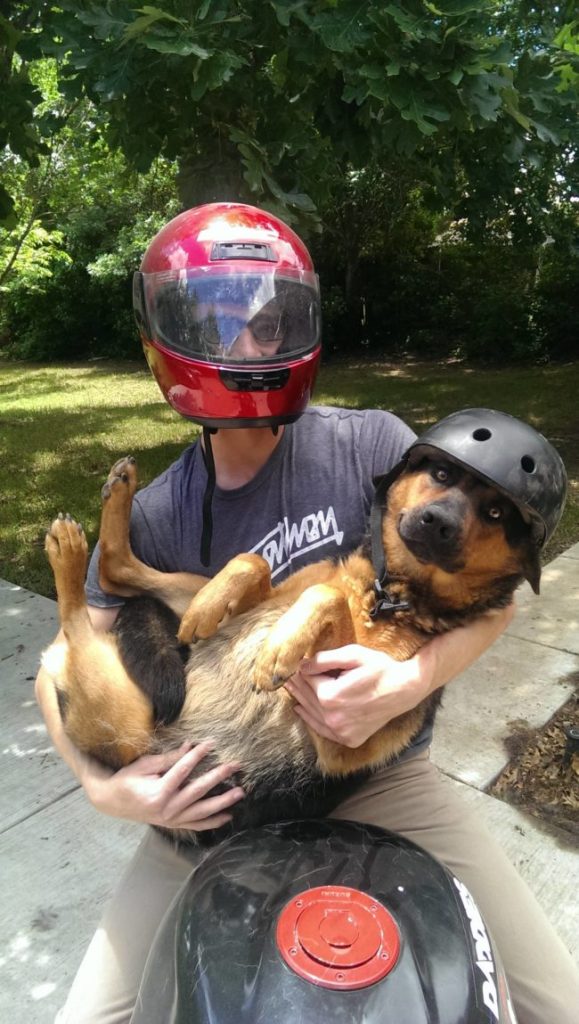 20 People Who Are Not Satisfied With Leaving Their Animals With Pet Sitters