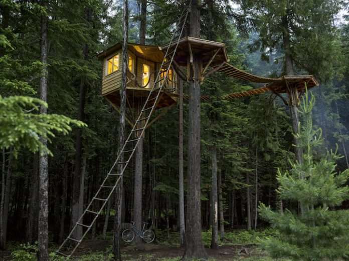 Rustic Cabin Sanctuaries Are Hidden In The Quiet Desert