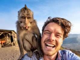 The Famous "Animal Whisper" Takes Selfies With The Most Attractive Animals