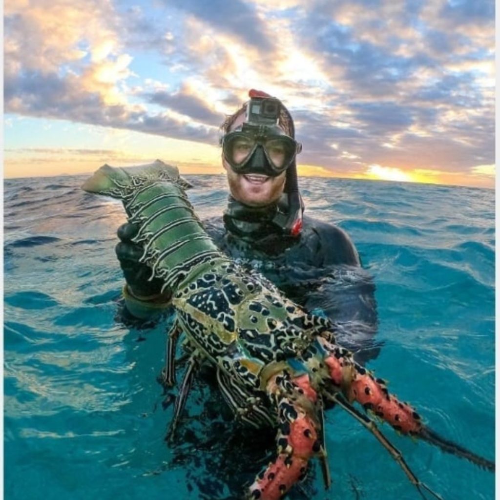 Crayfish Originate From The Crystal Pure Waters Of The Great Barrier Reef's Lagoons